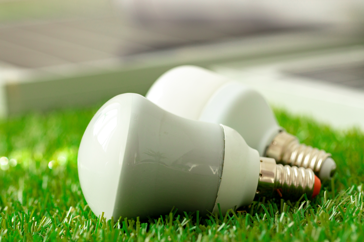 Semana do Meio Ambiente - LED e Sustentabilidade